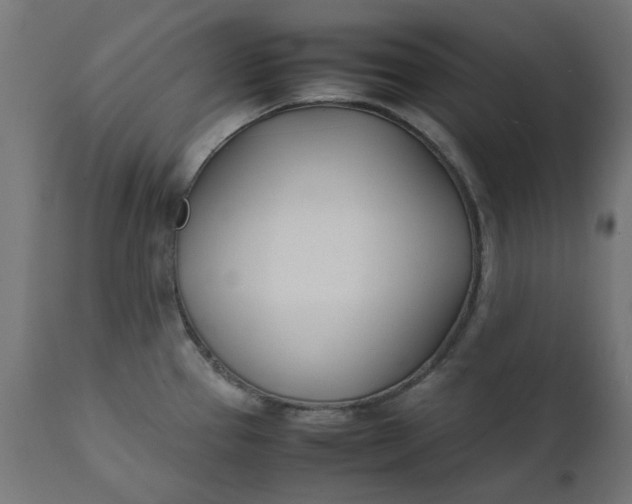 X0000111491337200907281218