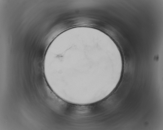 X0000111491338200907281218