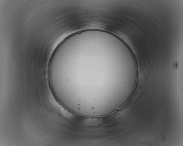 X0000111491339200907281218