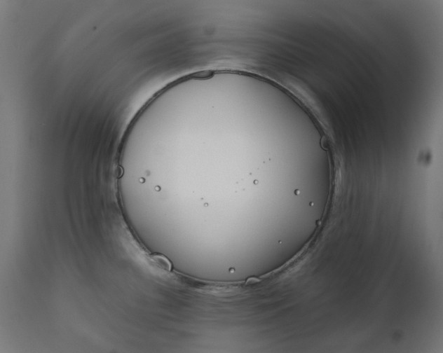 X0000111491340200907281218