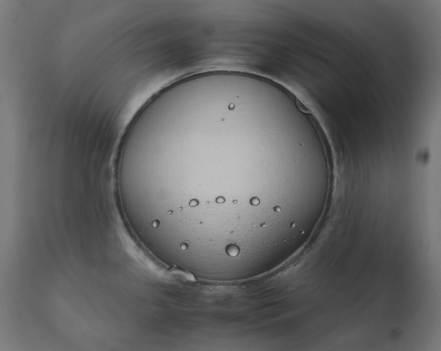 X0000111491341200907281218