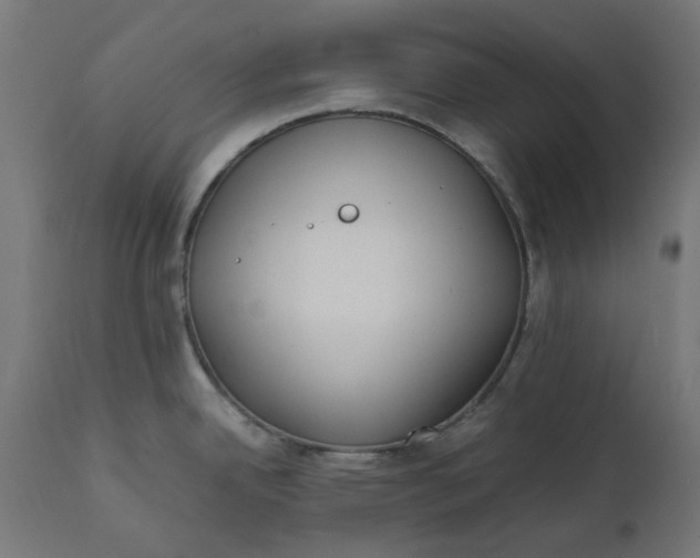 X0000111491342200907281218