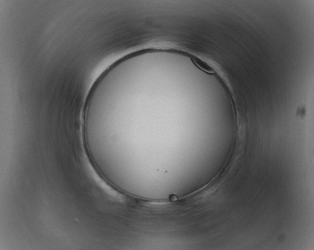 X0000111491343200907281218