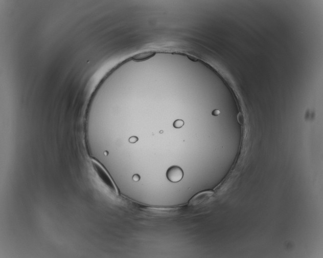 X0000111491344200907281218