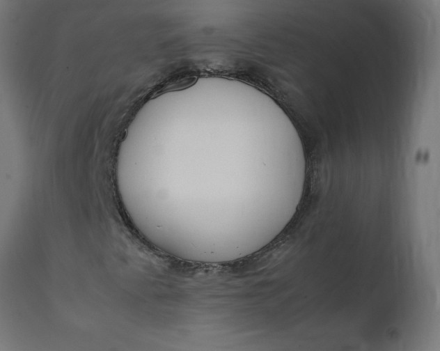 X0000111491345200907281217