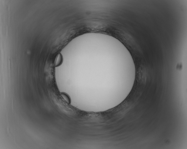 X0000111491346200907281217