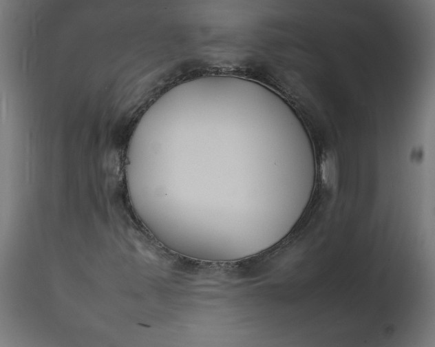 X0000111491347200907281217