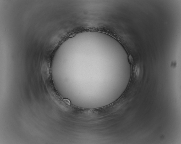 X0000111491348200907281217