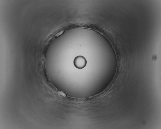 X0000111491349200907281217