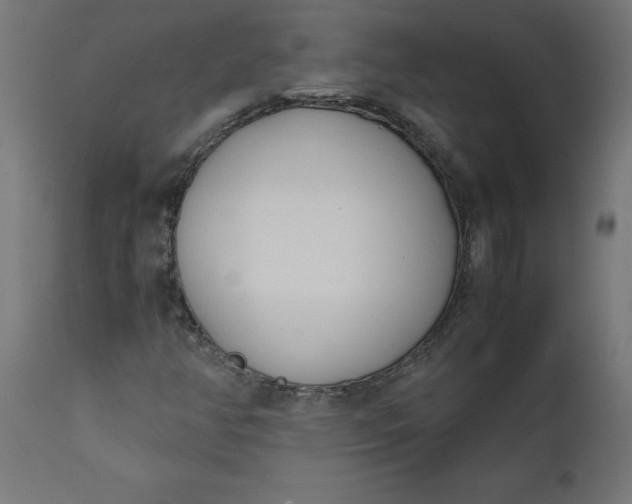 X0000111491350200907281217