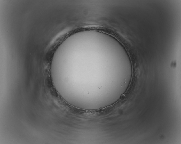 X0000111491351200907281217