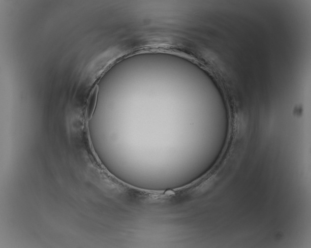 X0000111491353200907281217