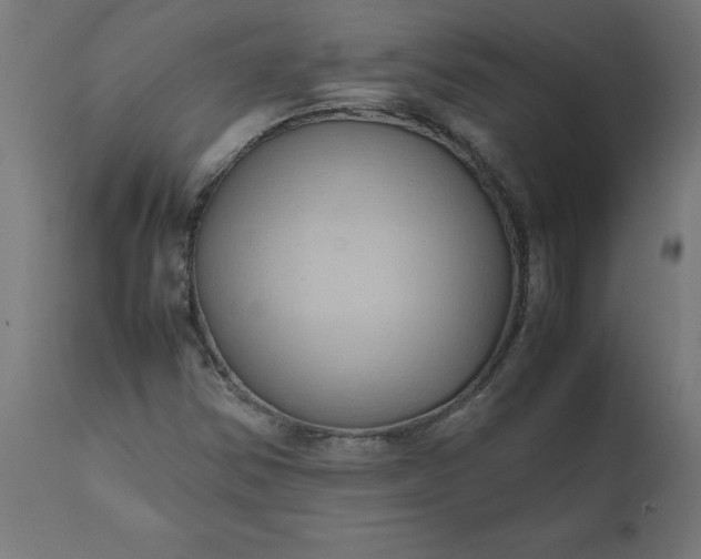 X0000111491354200907281217