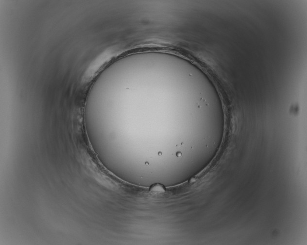 X0000111491355200907281217