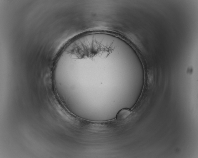 X0000111491356200907281217