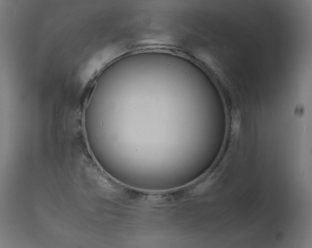 X0000111491357200907281217