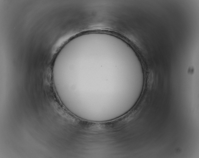 X0000111491358200907281217