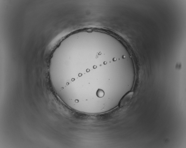 X0000111491359200907281217