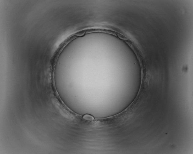 X0000111491360200907281217