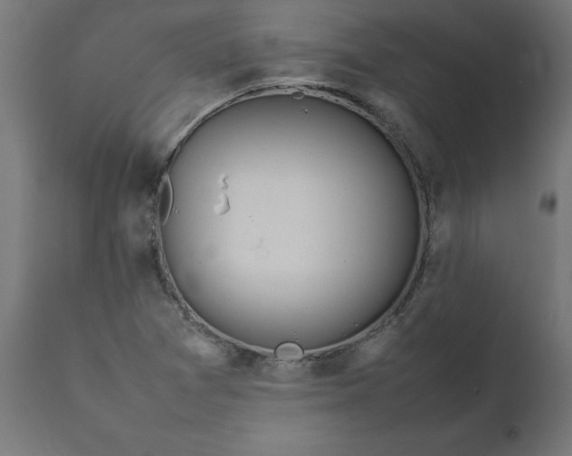 X0000111491361200907281217