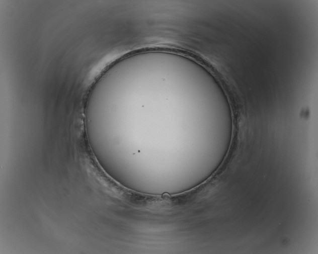 X0000111491363200907281217