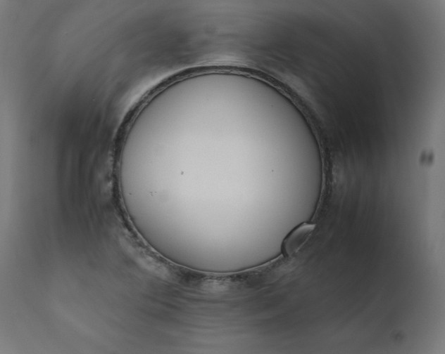 X0000111491364200907281217