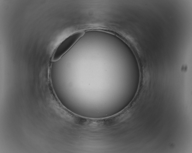 X0000111491365200907281217