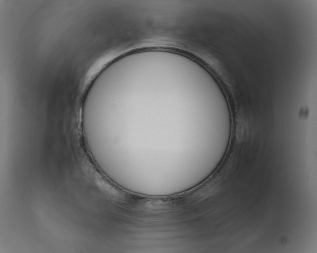 X0000111491366200907281217