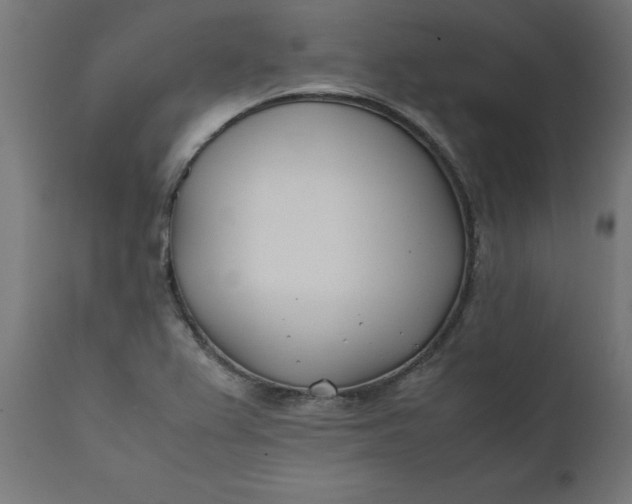 X0000111491367200907281217