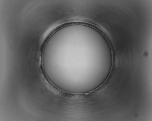 X0000111491368200907281217