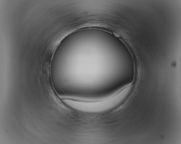 X0000111491369200907281217