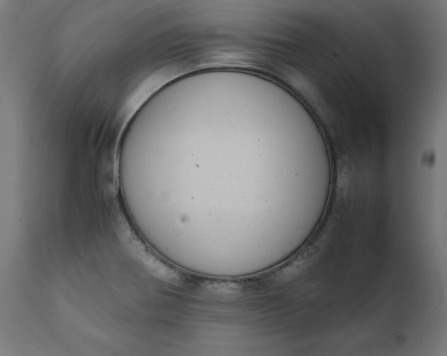 X0000111491370200907281217