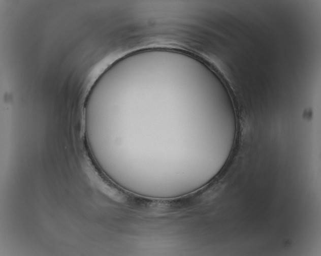 X0000111491371200907281217