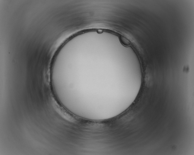 X0000111491372200907281217