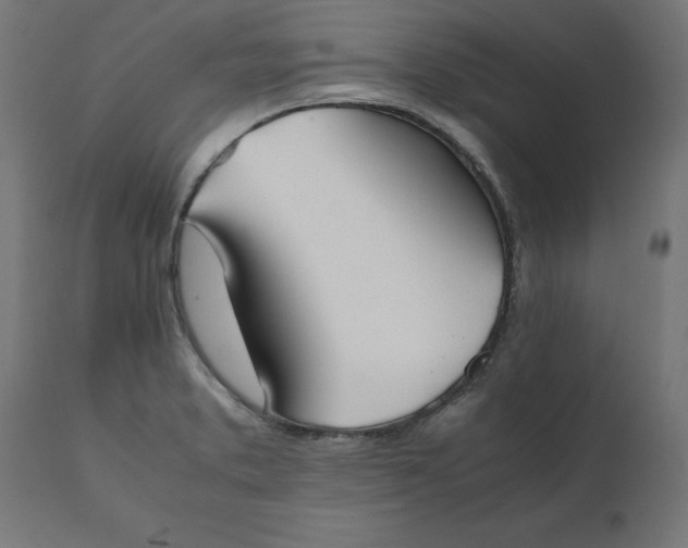 X0000111491373200907281217