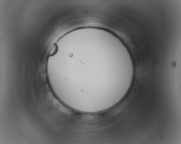 X0000111491374200907281217