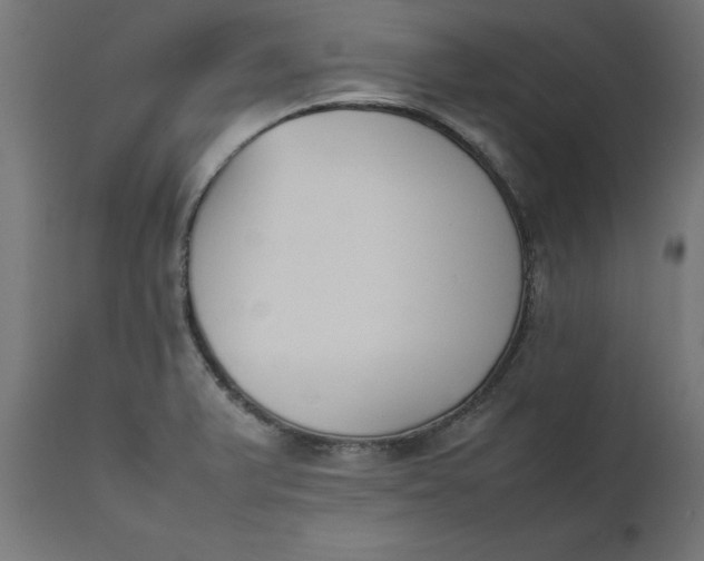 X0000111491375200907281217