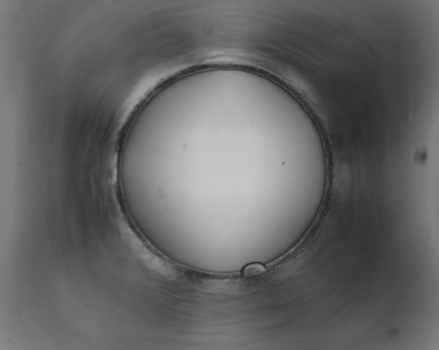 X0000111491376200907281217