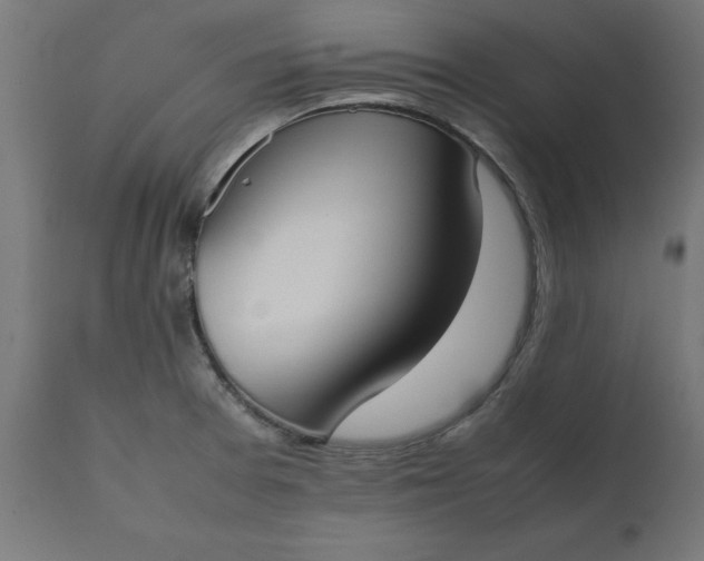 X0000111491377200907281217