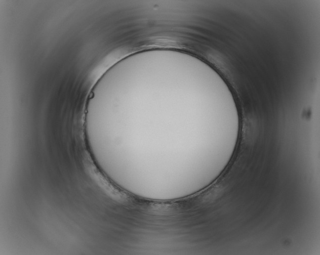 X0000111491378200907281216