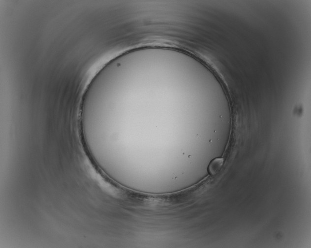 X0000111491379200907281216