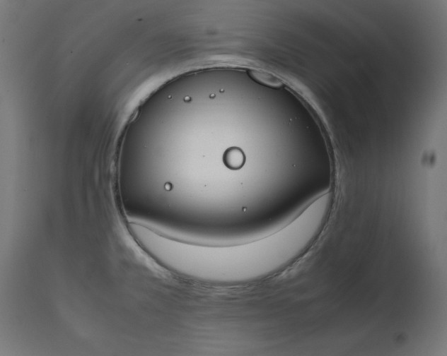 X0000111491381200907281216