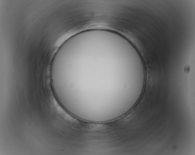 X0000111491382200907281216