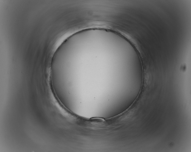 X0000111491383200907281216