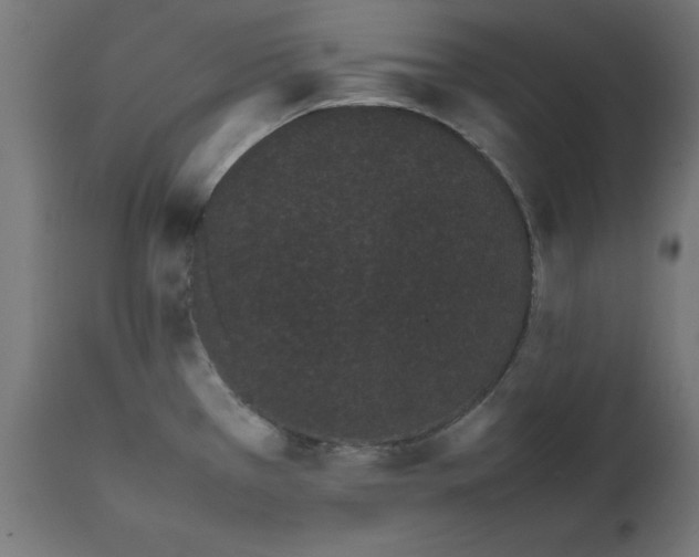 X0000111491385200907281216