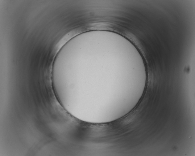 X0000111491386200907281216