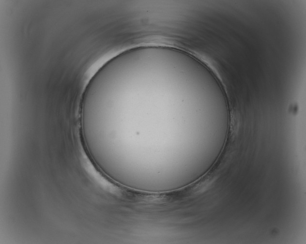 X0000111491387200907281216