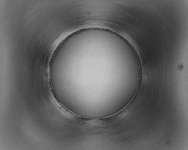 X0000111491388200907281216