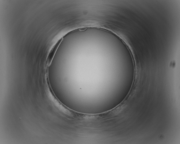 X0000111491389200907281216