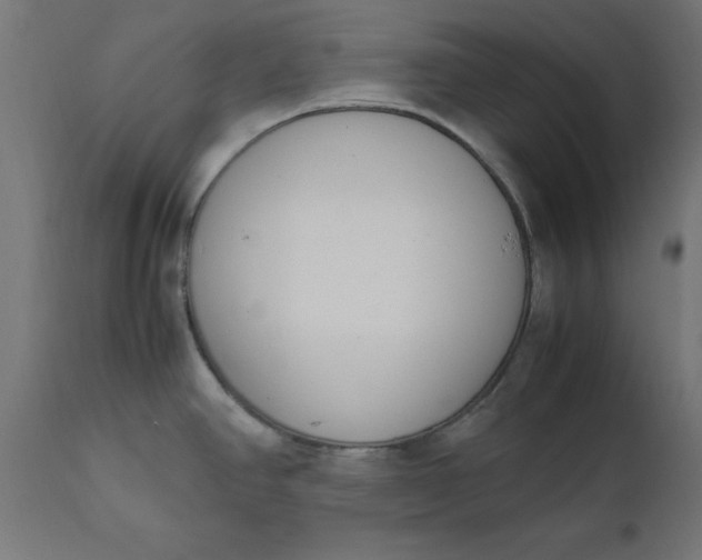 X0000111491390200907281216